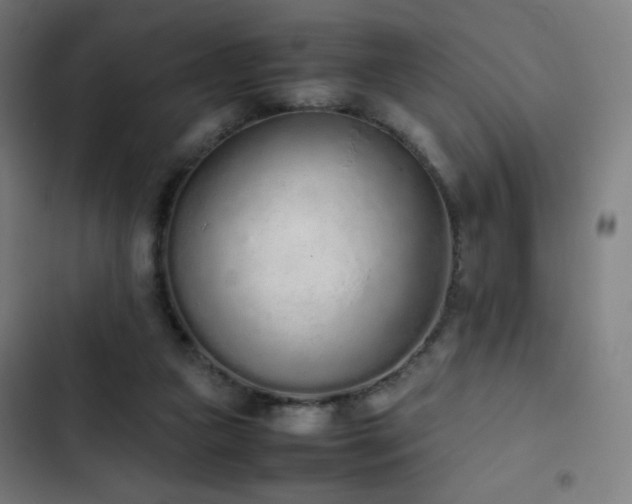 X0000103330161200809051218