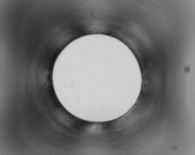 X0000103330162200809051218