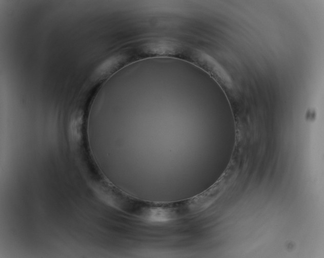 X0000103330163200809051218