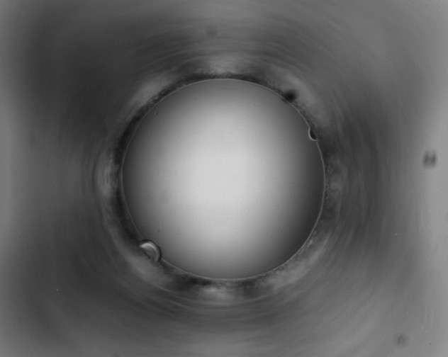 X0000103330164200809051218