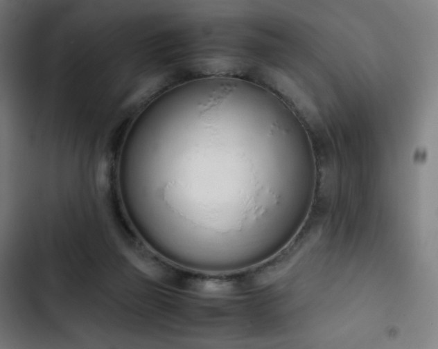 X0000103330165200809051218