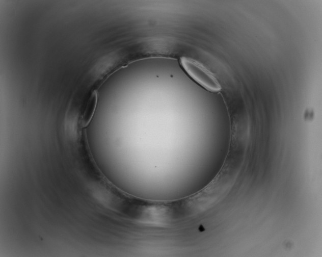 X0000103330168200809051218