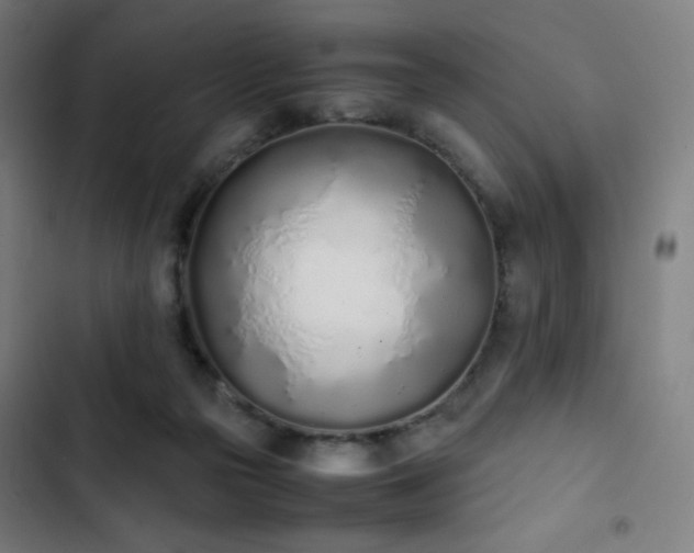 X0000103330169200809051218