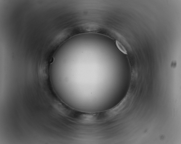 X0000103330170200809051218