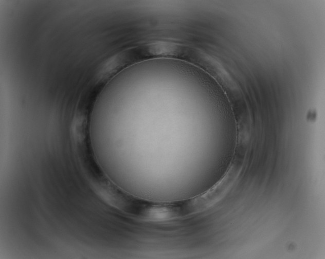 X0000103330171200809051218