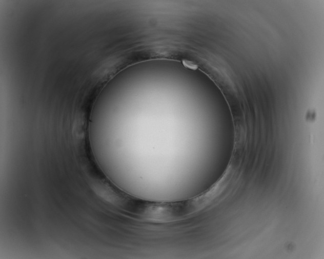 X0000103330174200809051218