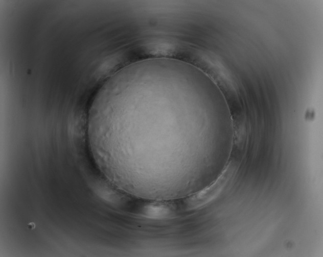 X0000103330175200809051218