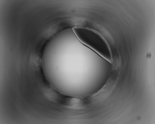 X0000103330176200809051218