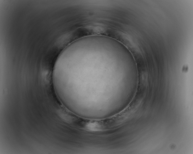 X0000103330177200809051218