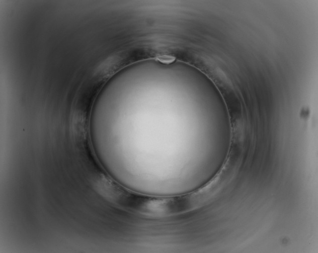 X0000103330178200809051219