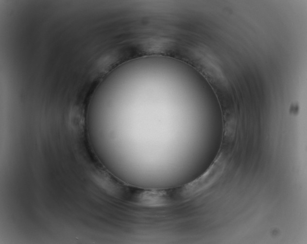 X0000103330179200809051219