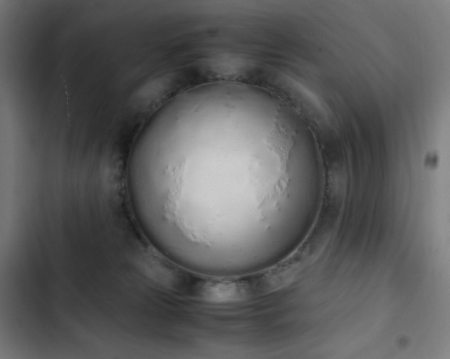 X0000103330181200809051219