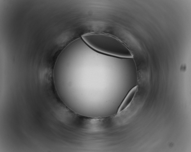 X0000103330184200809051219