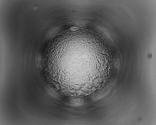 X0000103330185200809051219