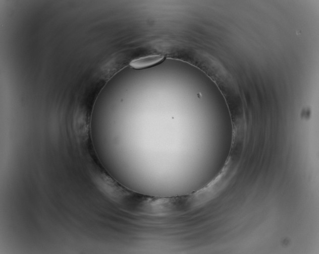 X0000103330186200809051219