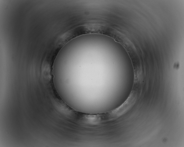 X0000103330187200809051219