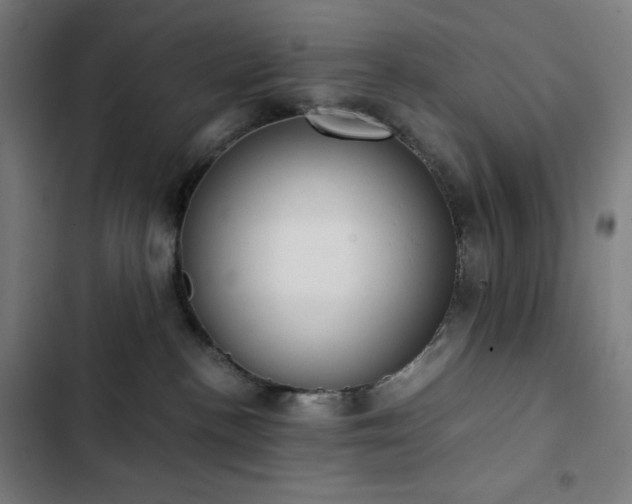 X0000103330188200809051219