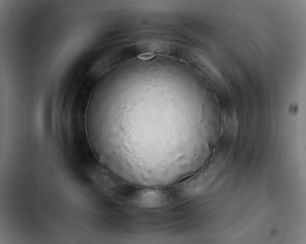 X0000103330189200809051219