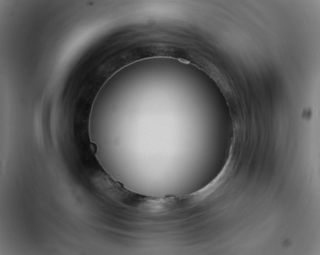 X0000103330190200809051219