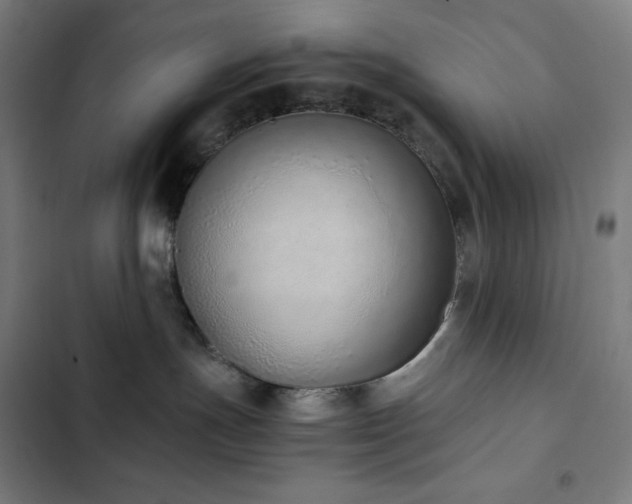 X0000103330191200809051219