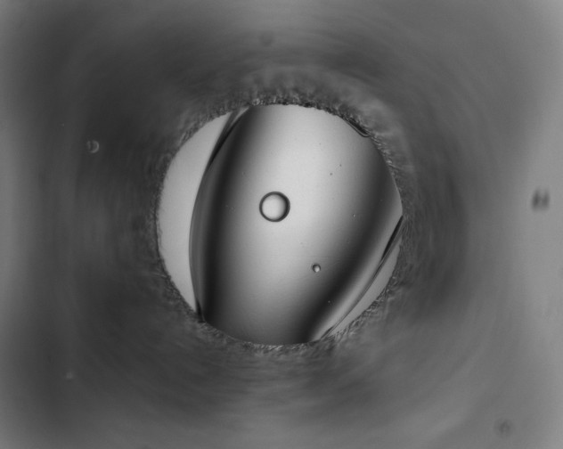 X0000103330192200809051219