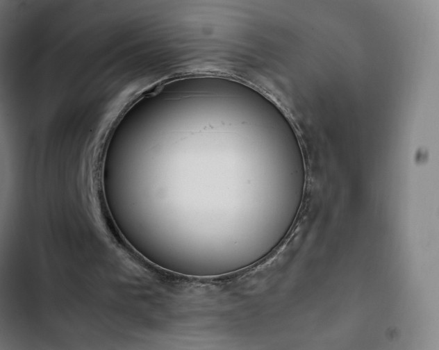 X0000103330193200809051218