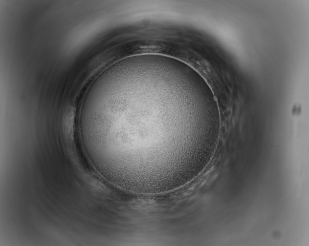 X0000103330194200809051218