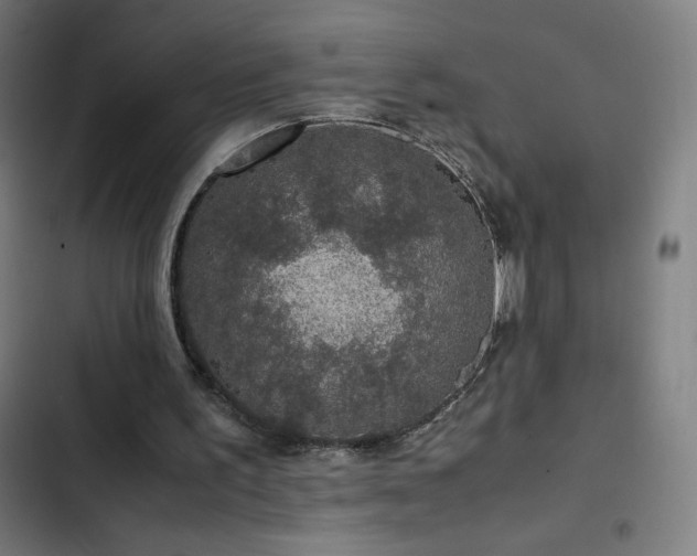 X0000103330195200809051218