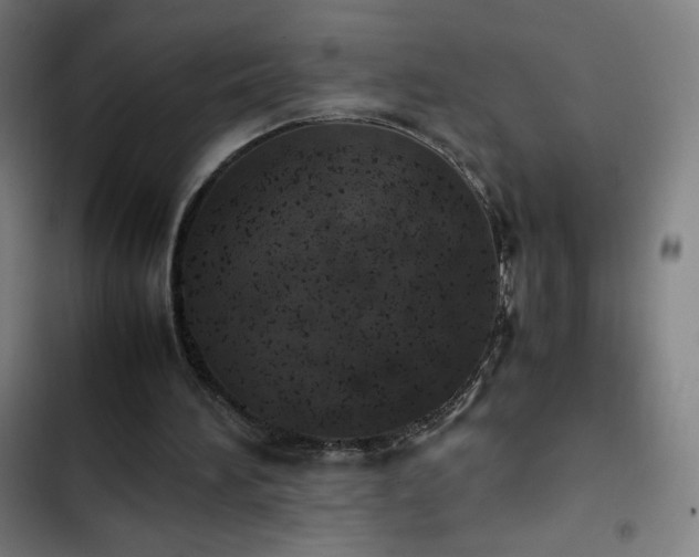 X0000103330196200809051218