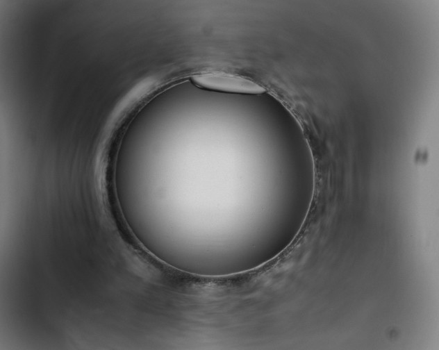 X0000103330197200809051218