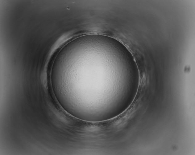 X0000103330198200809051218