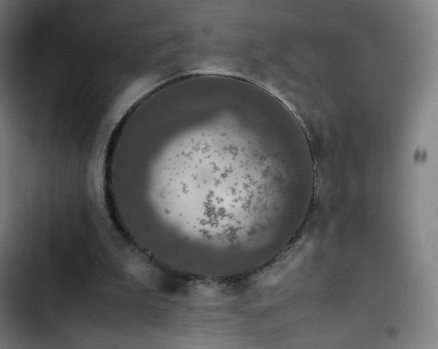 X0000103330199200809051218