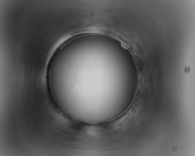 X0000103330200200809051218