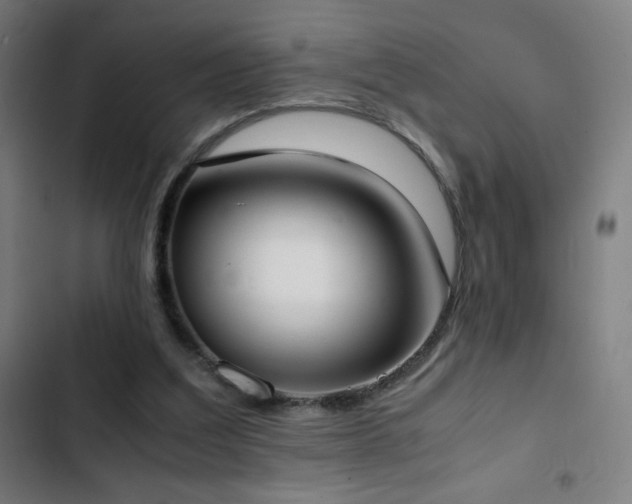 X0000103330203200809051218