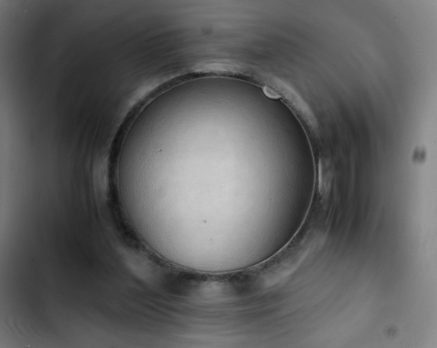 X0000103330204200809051218