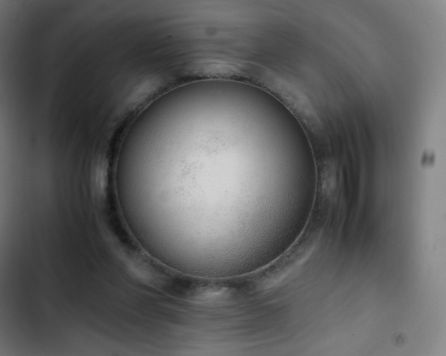 X0000103330206200809051218