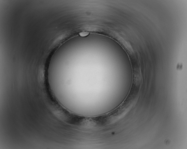 X0000103330207200809051218