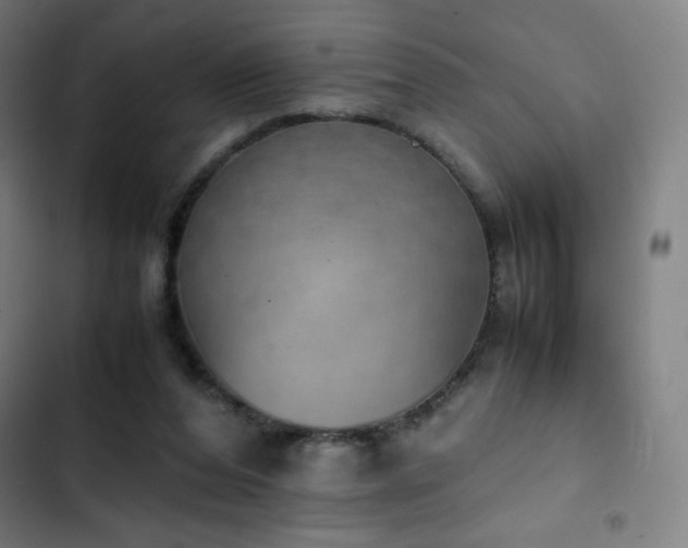 X0000103330208200809051218