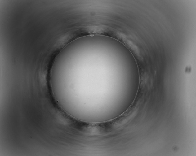 X0000103330209200809051218