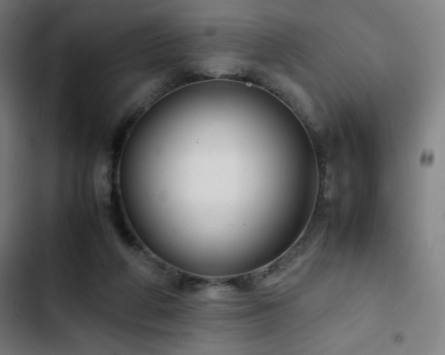 X0000103330210200809051218