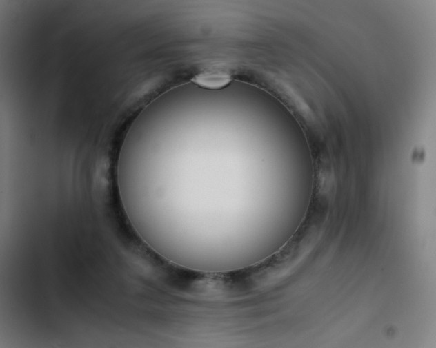 X0000103330211200809051218