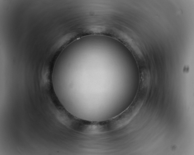 X0000103330212200809051217