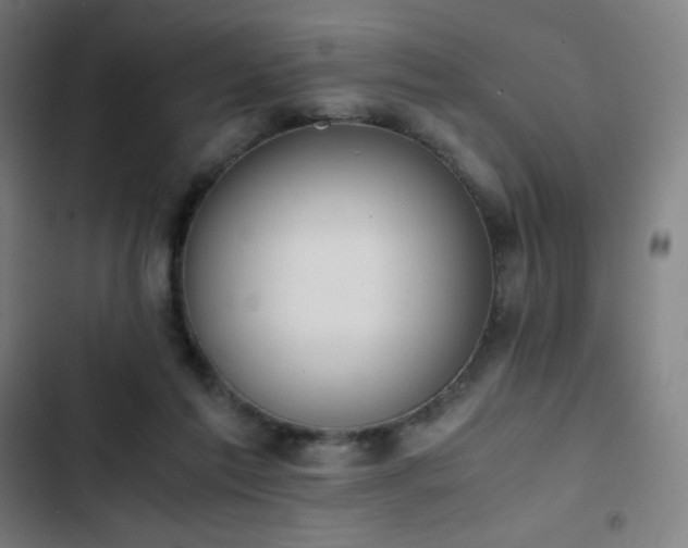 X0000103330213200809051217