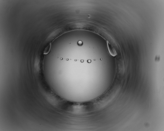 X0000103330216200809051217