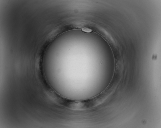 X0000103330217200809051217