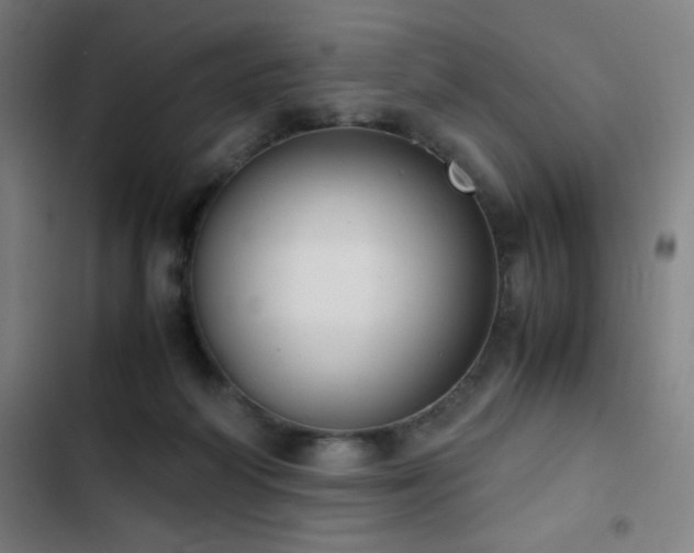 X0000103330218200809051217