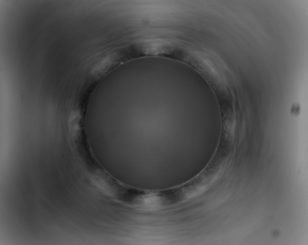 X0000103330219200809051217