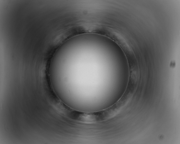 X0000103330221200809051217