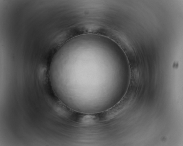 X0000103330222200809051217