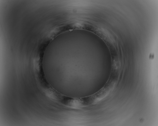 X0000103330223200809051217